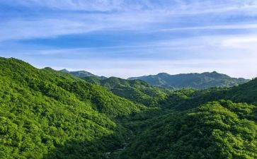 游泰山心得体会7篇