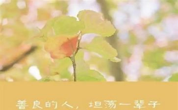 慈善法宣传活动总结8篇