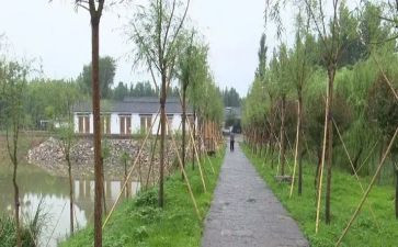参观庵上湖村心得体会7篇