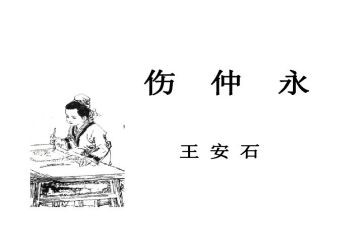 伤仲永读后感精选5篇