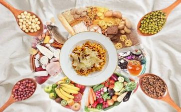 0到3膳食工作计划7篇