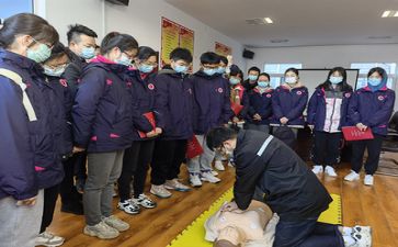 800社会实践报告范文6篇