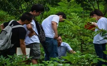 志愿服务社会实践报告7篇