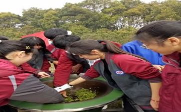 孝的社会实践报告8篇