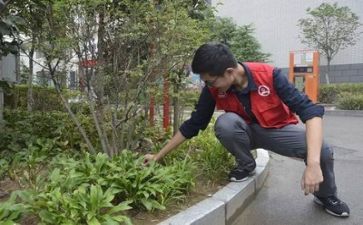 关于731社会实践报告8篇
