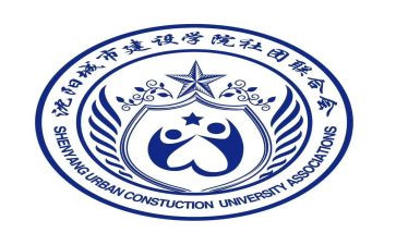 社联宣传工作总结5篇