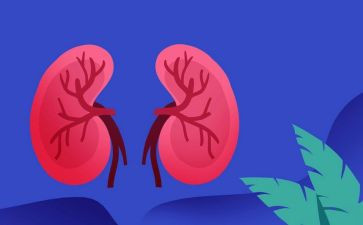 肾内科护士的述职报告通用7篇