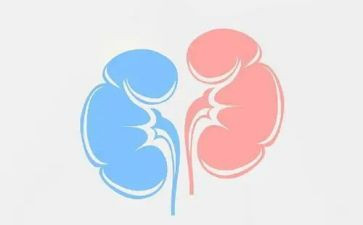肾内科医师年度个人总结5篇