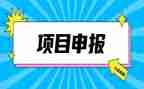 申报高级个人述职报告范文8篇