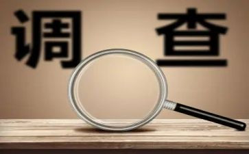 调查报告与审查报告7篇