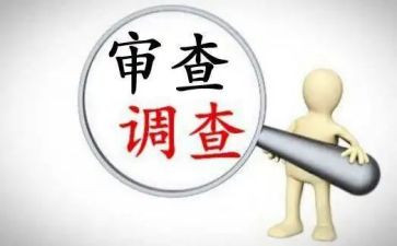 审查工作心得体会5篇
