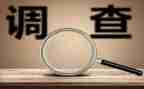 调查报告与审查报告7篇