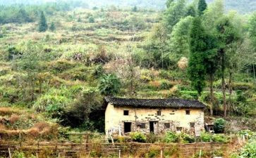 他留在我记忆深处作文精选6篇