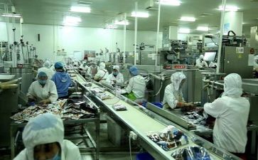 生产实习心得体会参考5篇