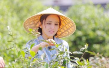 业余生活调查报告6篇