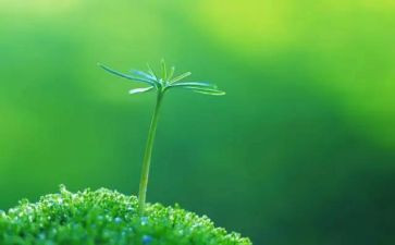 心理生命教育心得体会5篇
