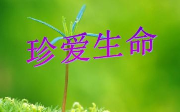 珍爱生命远离危险的演讲稿8篇