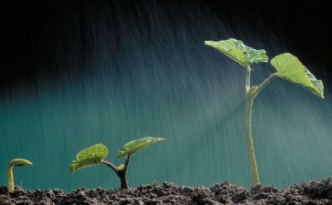 珍爱生命的心得体会5篇