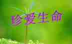 演讲稿范文关于生命8篇