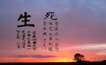 生与死读后感作文参考7篇