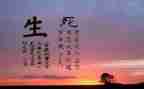 生与死读后感作文参考7篇
