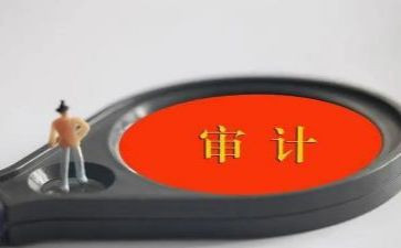 审计局总结报告8篇