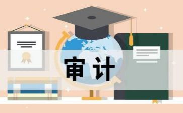 审计助理实习报告总结8篇