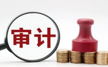 医院审计工作总结6篇