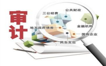 审计站工作总结通用6篇