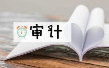 审计站工作总结5篇
