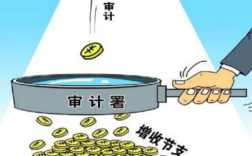 审计前述职报告6篇