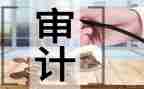 审计站工作总结优质6篇