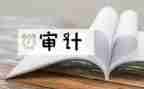 审计站工作总结5篇
