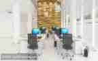 离职报告申请书8篇