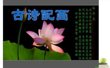 读诗经的心得体会6篇