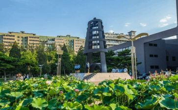 幼儿园教师大班述职报告7篇