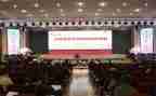 师德修师德自查报告7篇