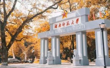 师范生自我鉴定总结7篇