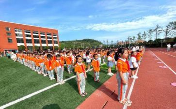 校外社会实践活动总结8篇