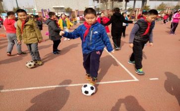 学校综合实践活动总结5篇