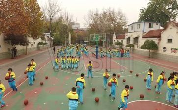 小实践活动实践报告8篇