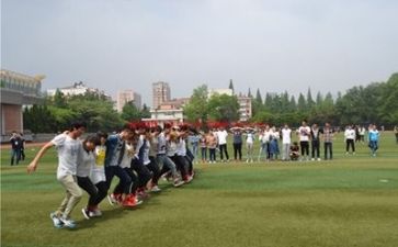 小学综合实践活动方案8篇