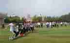 小学综合实践活动方案8篇