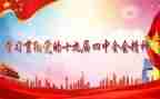 团十九届四中精神心得体会7篇