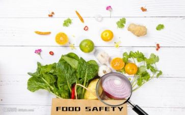 2022年幼儿园食品安全自查报告6篇