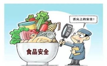 乡镇食品安全自查报告6篇