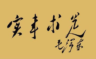 村民生实事工作总结7篇