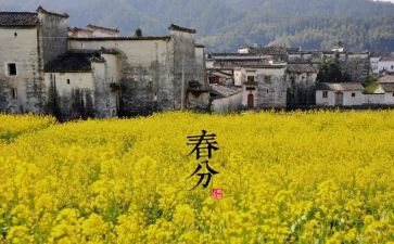 十四运活动总结7篇