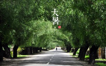 小学生十四运演讲稿7篇