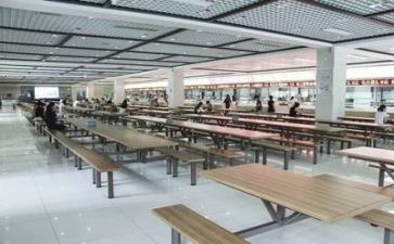 小食堂整改报告范文6篇